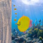 Kid's drawing brought to life, Photoshop